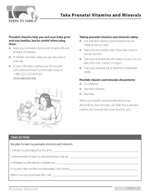 Prenatal Vitamins and Minerals Guide