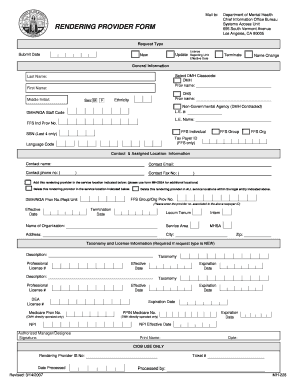 DMH Rendering Provider Form