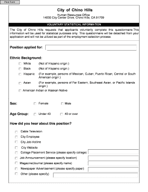 Voluntary Statistical Information Form