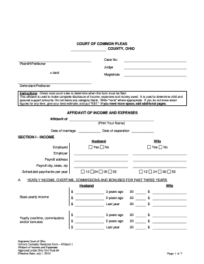 Affidavit of Income and Expenses