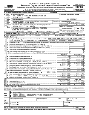 IRS Form 990 2013