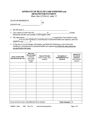 Affidavit of Health Care Expenses and Demand for Payment