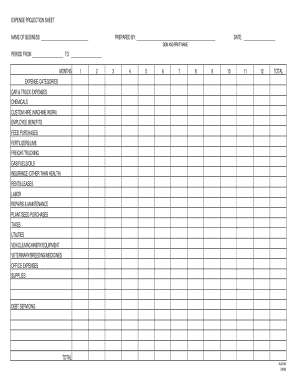 Expense Projection Sheet