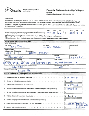 Ontario Financial Statement Auditor's Report Form 4