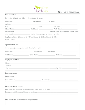 New Patient Intake Form for Chiropractic Care