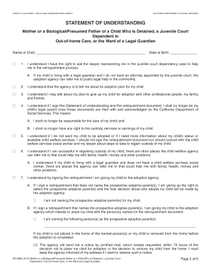 California Adoption Relinquishment Statement of Understanding