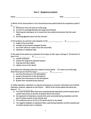 Respiratory System Test Form