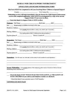 Bureau for Child Support Enforcement Application