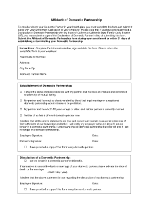 Affidavit of Domestic Partnership