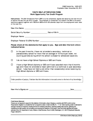 Youth Self-Attestation Form