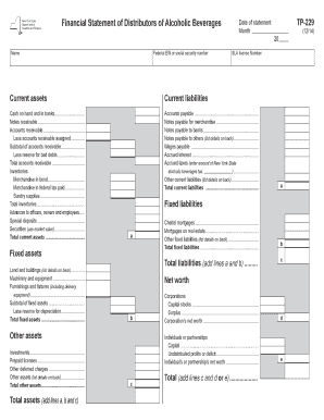 New York Alcoholic Beverage Distributor Financial Statement