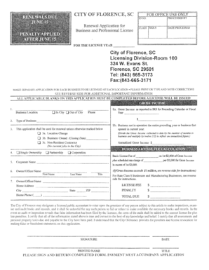 Business and Professional License Renewal Application