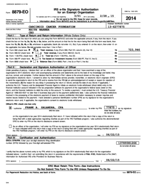 IRS Form 8879-EO Signature Authorization