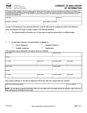 Consent to Disclosure of Information