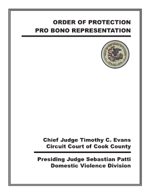 Order of Protection Pro Bono Representation
