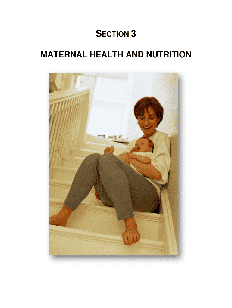 missouri maternal health section Preview on Page 1