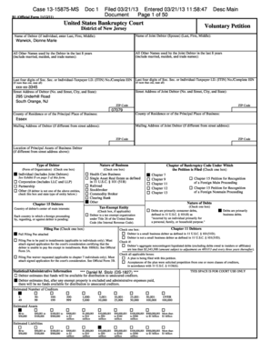 US Bankruptcy Court Voluntary Petition