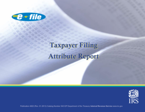Taxpayer Filing Attribute Report