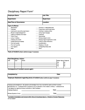 Disciplinary Report Form