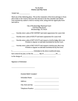 Texas Waiver and Plea Form