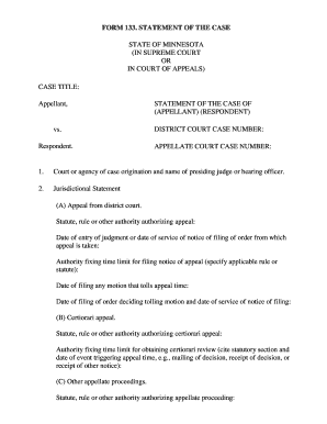 Minnesota Statement of the Case Form 133