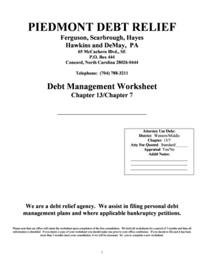 North Carolina Chapter 13/7 Bankruptcy Debt Management Worksheet