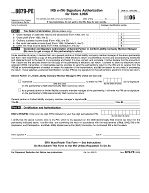 IRS Form 8879-PE for Form 1065