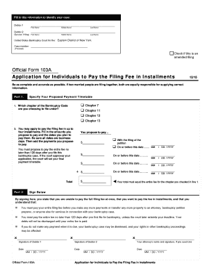 US Bankruptcy Court Installment Payment Application