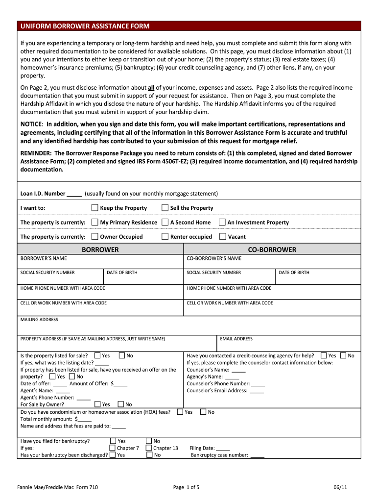 borrower assistance form Preview on Page 1.