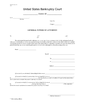 Bankruptcy form b11a fillable