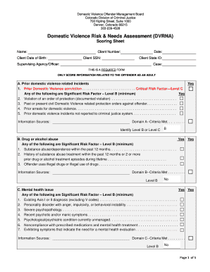 Domestic Violence Risk Assessment Form