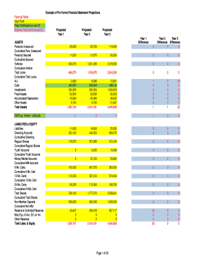 Pro Forma Financial Statement Projections