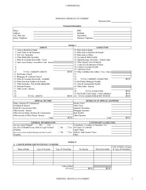 how to fill financial statement for individual form