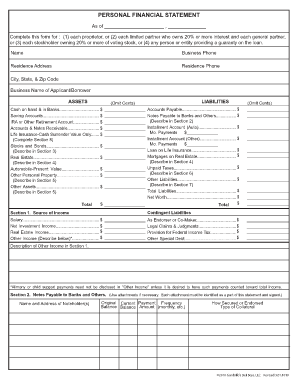 Personal Financial Statement Form