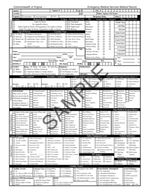 Virginia EMS Medical Record Form