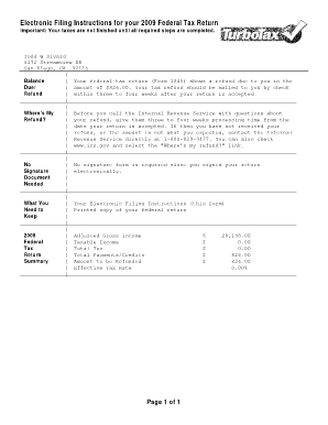 2009 US Federal Tax Return Form 1040
