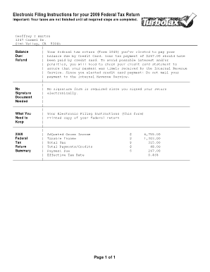 2009 US Federal Tax Return Form 1040