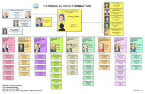 nsf org chart