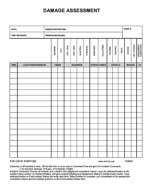 Damage Assessment Form