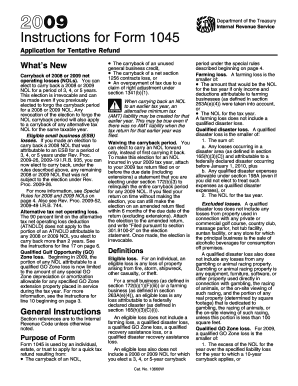 IRS Form 1045 Instructions