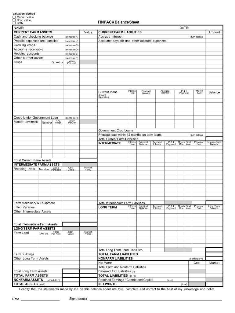 finpack balance sheet Preview on Page 1.