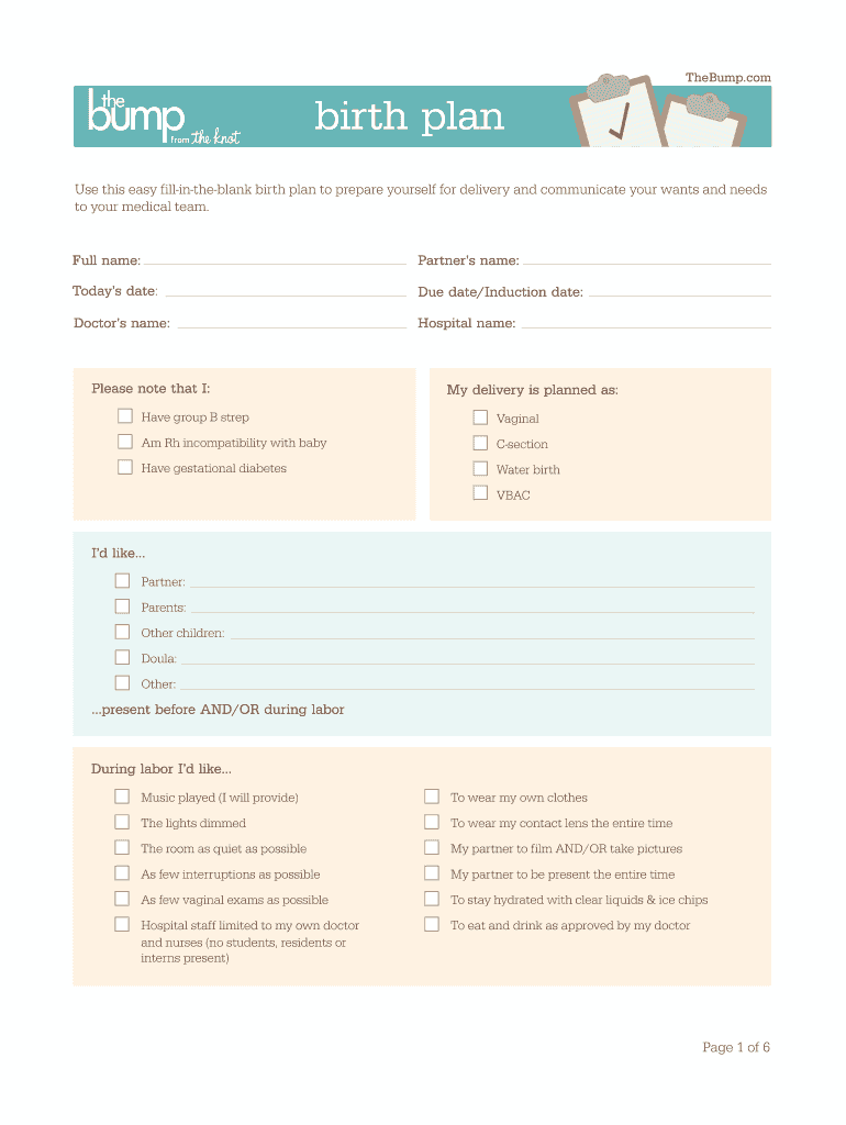 Birth Plan Template Fill Online Printable Fillable Blank Pdffiller