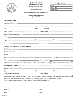 New York Public Complaint Form
