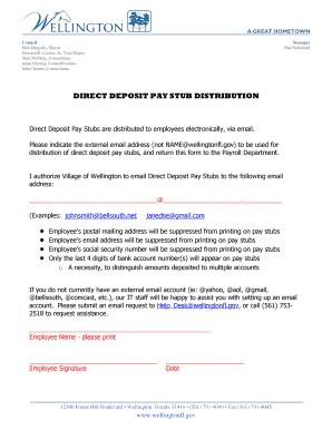 Direct Deposit Pay Stub Authorization Form