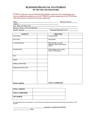 Business Financial Statement