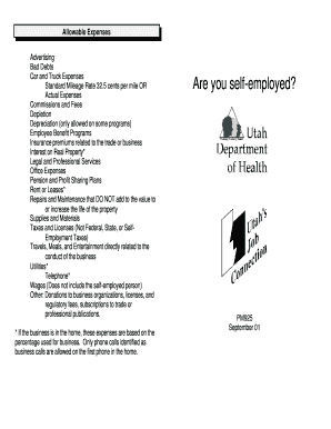 IRS Business Expense Form