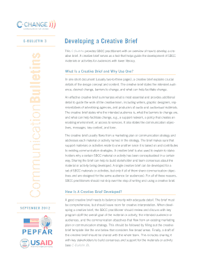 Developing a Creative Brief - pdf usaid