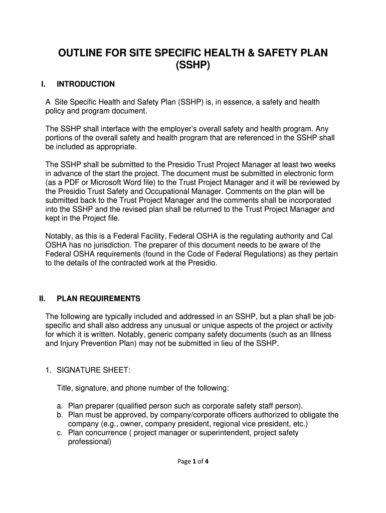 site specific safety plan Preview on Page 1