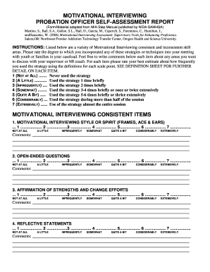 Probation Officer Self-Assessment Report