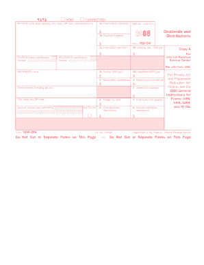 Form 1099-DIV